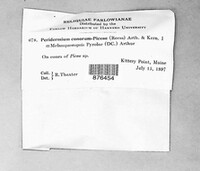 Image Associated With the Occurence
